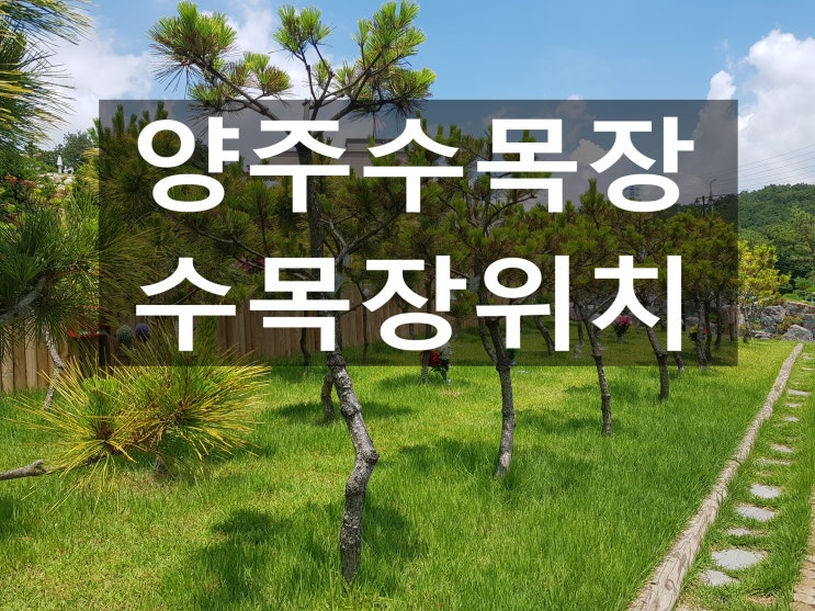  양주수목장 위치와 환경이 좋아요~