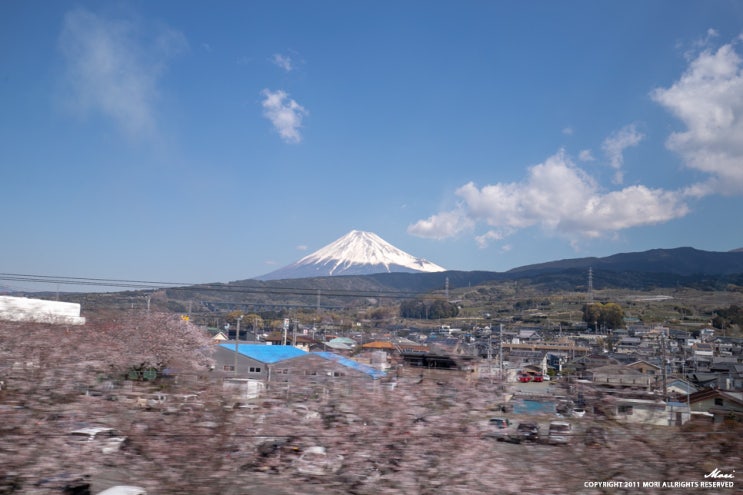 [JR패스 일본열차여행] 신칸센에서 후지산을 보고, 나디아 애니메이션의 무대 찾아가기!