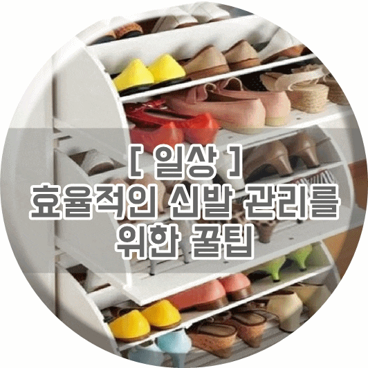 효율적인 신발 관리를 위한 꿀팁 BEST 10!