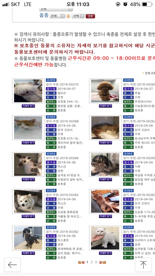  반려견 잃어버렸다가 찾았어요(동물보호관리시스템)