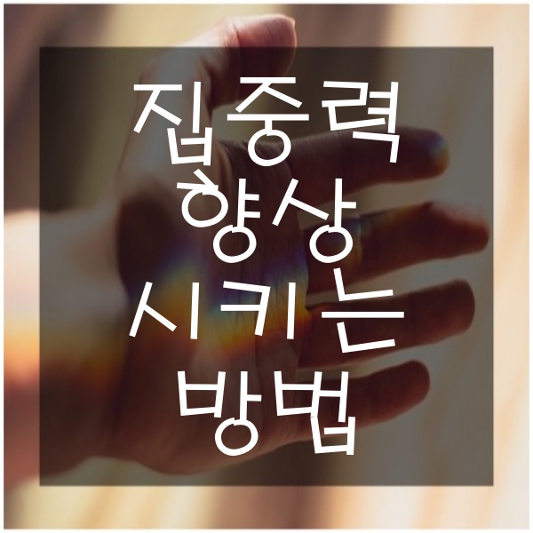  집중력 향상을 위한 좋은 방법 5가지