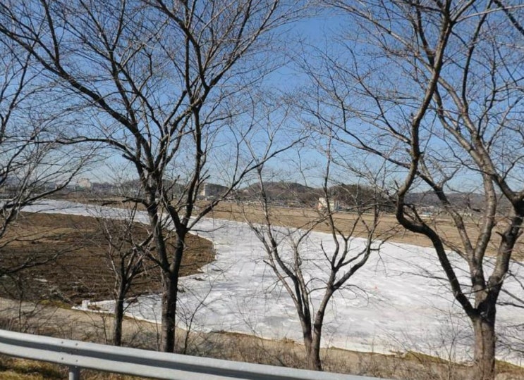 (완료) 군산시 신대야역세권, 개인 지주 토지 투자 정보입니다.