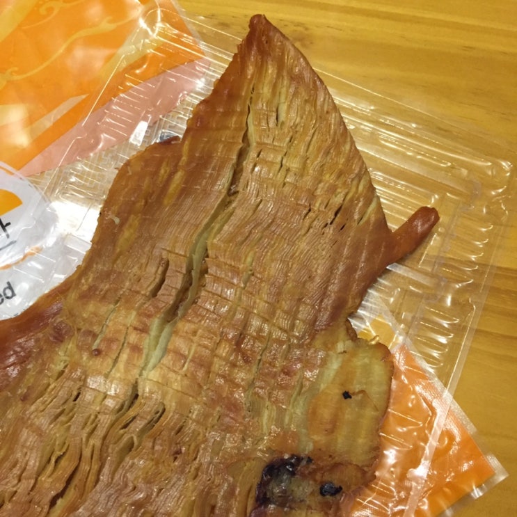  갈비오징어