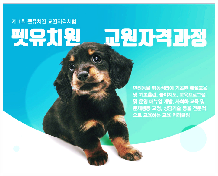  펫유치원 교원자격증 요즘 이런 자격증도 있나요?