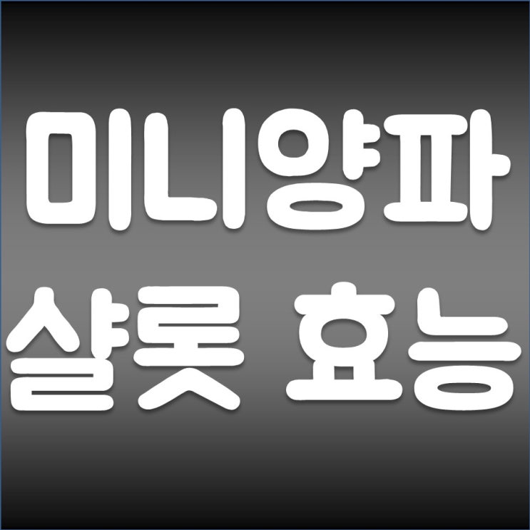  건강 도움 최고 미니 양파 샬롯 효능
