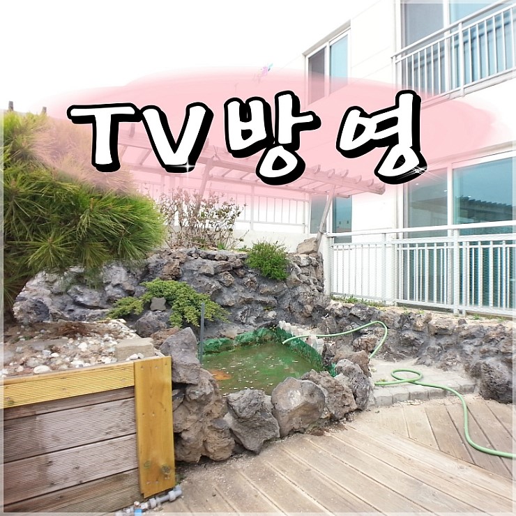  부평아파트 구해줘홈즈에 나온 바로 그 집
