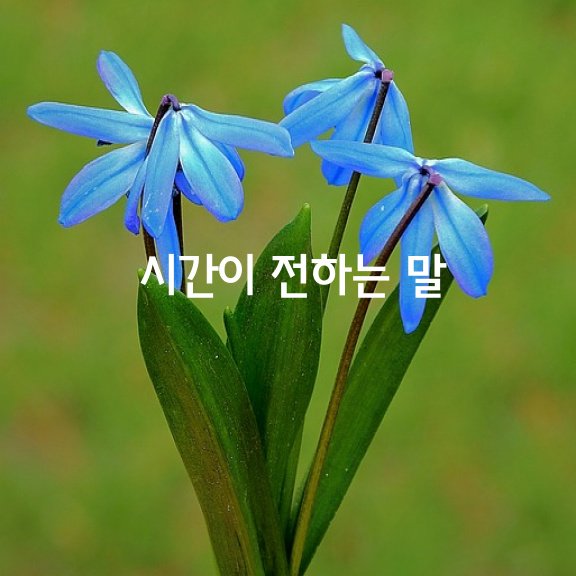  아름다운 당신에게 시간이 전하는 말