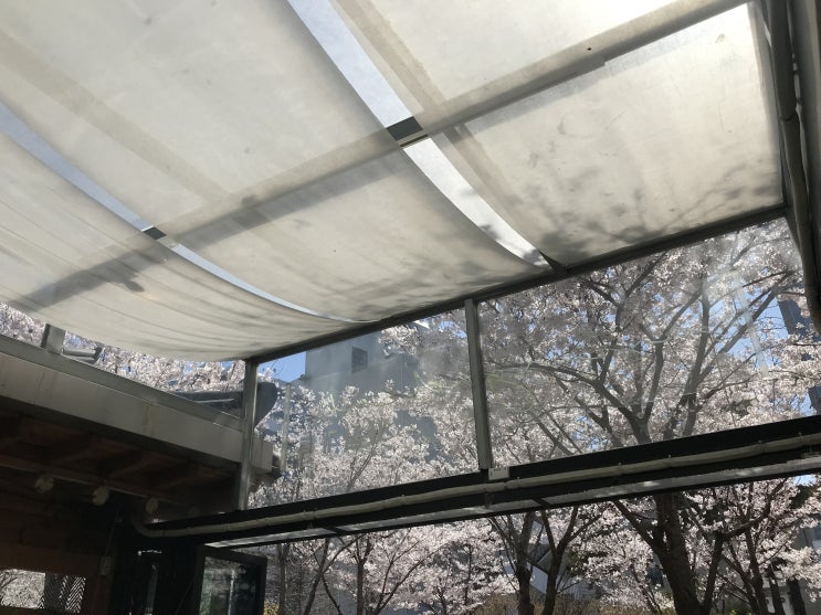 점심시간 나들이. 경의선 숲길. 공덕역 염리동 구간. 점심시간 나들이. 경의선 숲길. 공덕역 염리동 구간.