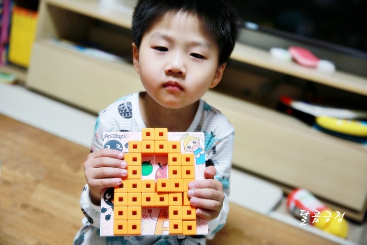  6세 장난감 유치원교구로도 좋은 애니블록