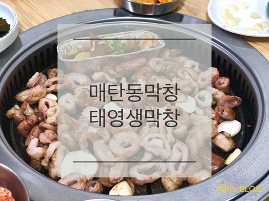 매탄동 맛집 ) 막창 맛집 인정, 매탄동 태영생막창