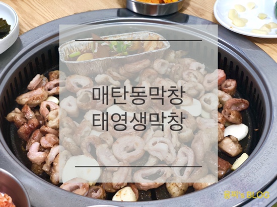  매탄동 맛집 ) 막창 맛집 인정, 매탄동 태영생막창