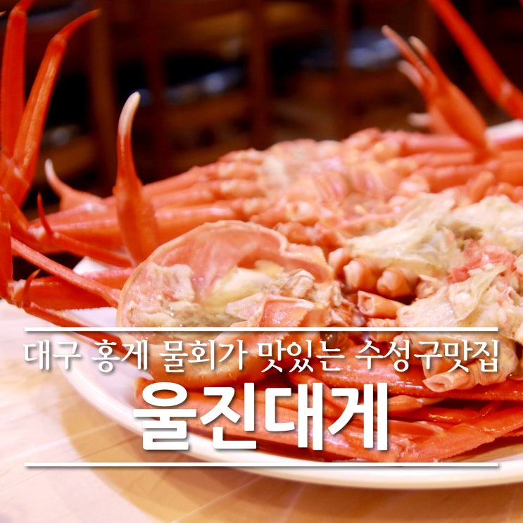  대구 물회 홍게가 맛있는 수성구맛집 울진대게