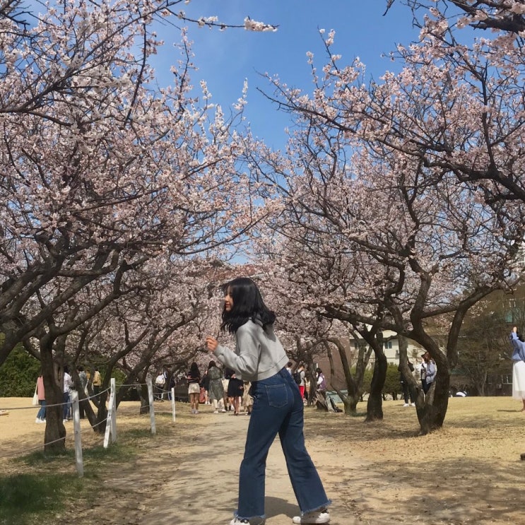  네번째 일기