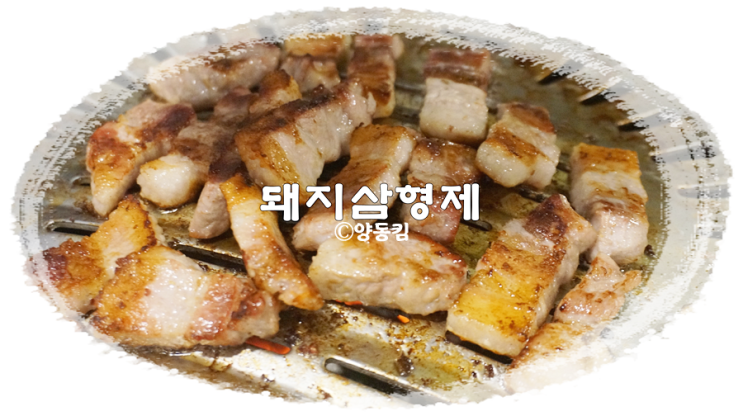  광주 닭목살구이 신안동 돼지삼형제 JMT