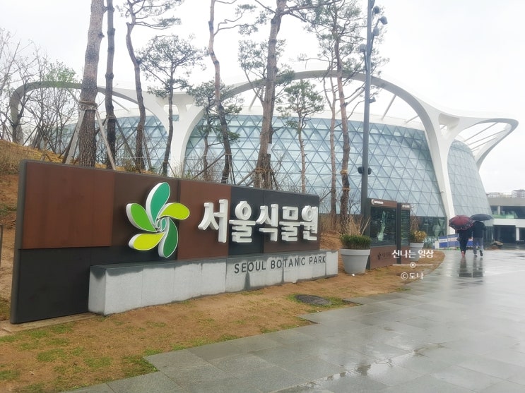 마곡 서울식물원 무료개방 기간, 비오는날 데이트 장소 추천!!