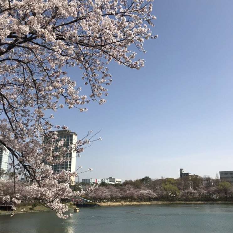  2019 April dailylife !