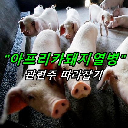  [간단] 아프리카돼지열병 관련주 따라잡기 :: 이제야 오니 ASF 테마?