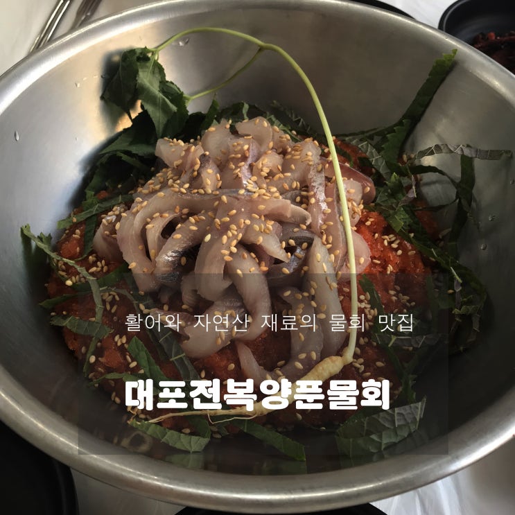  [맛집] 속초 : 대포전복양푼물회 - 활어와 자연산 재료의 물회