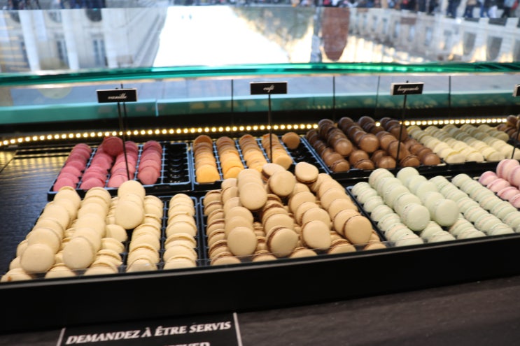  보르도 여행) 프랑스 보르도 대극장 근처 초콜릿, 마카롱, 비스킷 전문점 Maison Georges Larnicol