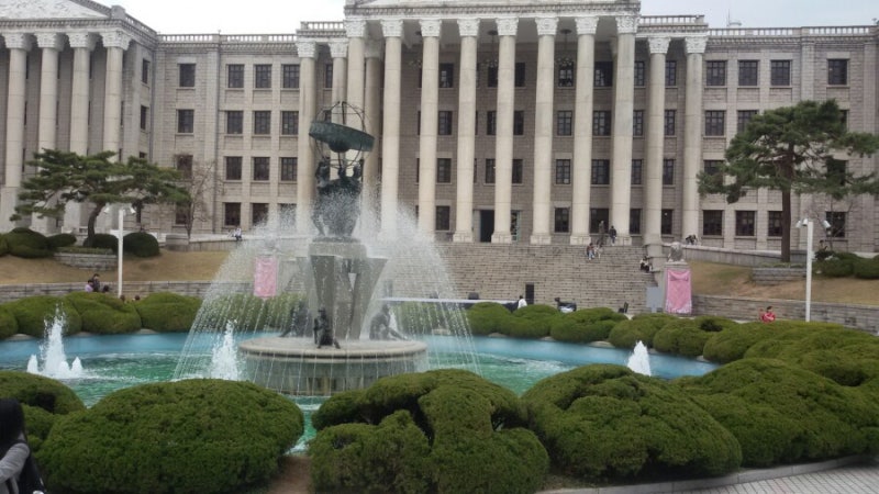 경희대학교 경희대 본관 중앙도서관 벚꽃(경희음대,크라운관·평화의전당) : 네이버 블로그 경희대학교 경희대 본관 중앙도서관 벚꽃(경희음대,크라운관·평화의전당) : 네이버 블로그