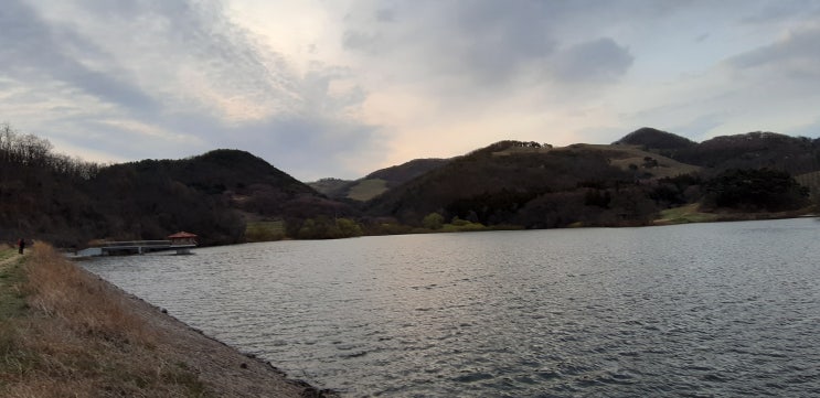  서산 용비지 용유지 4월 9일 아침 개나리피고 벚꽃 봉오리 상황 바람세고 기온차고 흐린 날씨 임