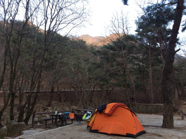  닷돈재야영장 [월악산국립공원]