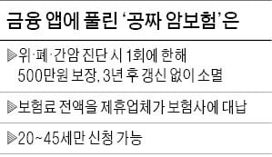 핀테크앱 '공짜 암보험' 경쟁..실속은?