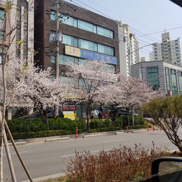 뭐든지 즐기면서 하고, 즐기면서 살기 데일리 일상