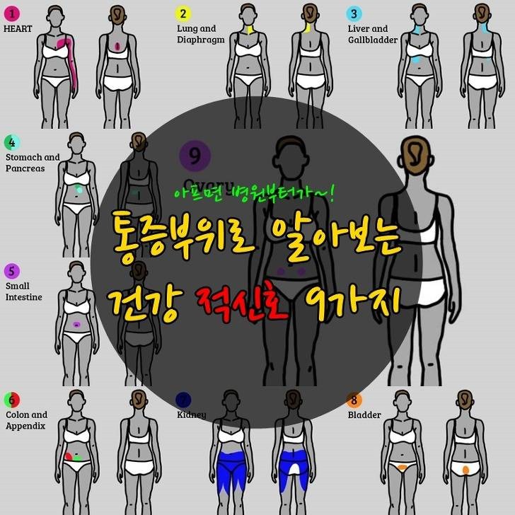 통증 부위로 알아보는 질병