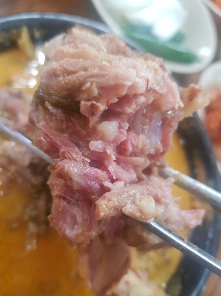  뼈다귀 전골이 먹고싶을 땐 세종 연정식당을 찾아요 !