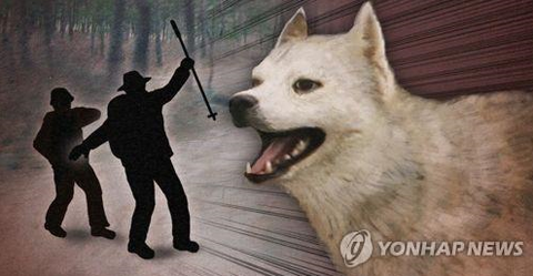  60대 여성 도사견 물려 사망