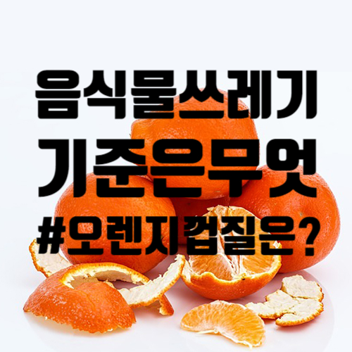  오렌지껍질 음식물쓰레기 기준 모르면 벌금 낼 수 있어요.