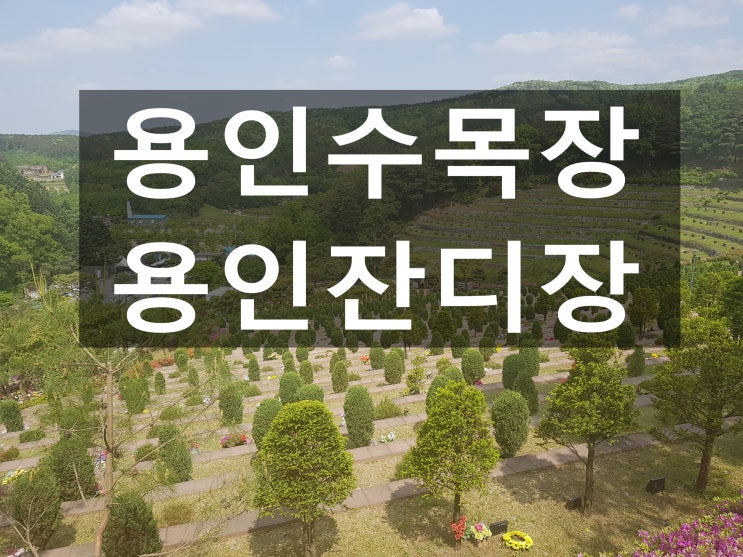 용인수목장 가격 잔디장이 저렴합니다~