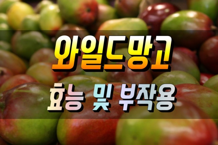  다이어트에 좋은 와일드 망고 효능 및 먹는법