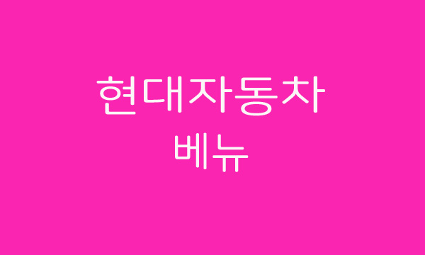  현대 자동차 베뉴 유출