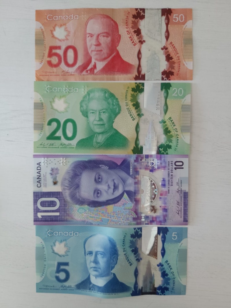 Viola Desmond 비올라 데스몬드, 캐나다 새 10달러 지폐를 장식한 인물 : 네이버 블로그