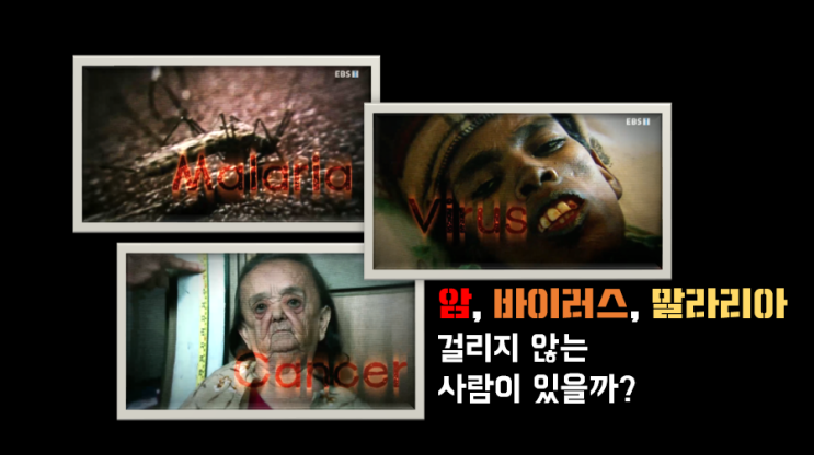  EBS 다큐프라임_ 과학대기획 4부 돌연변이