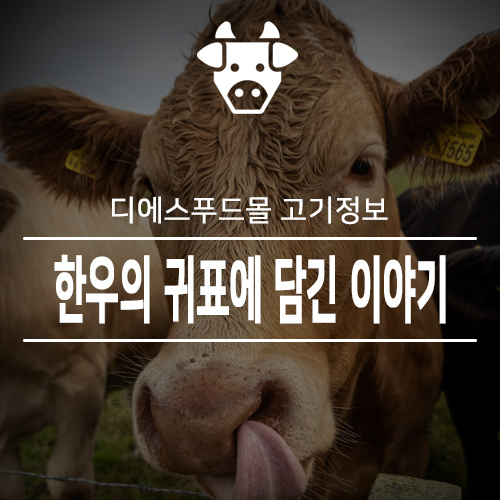  [디에스푸드몰 고기정보]한우의 귀표에 담긴 이야기