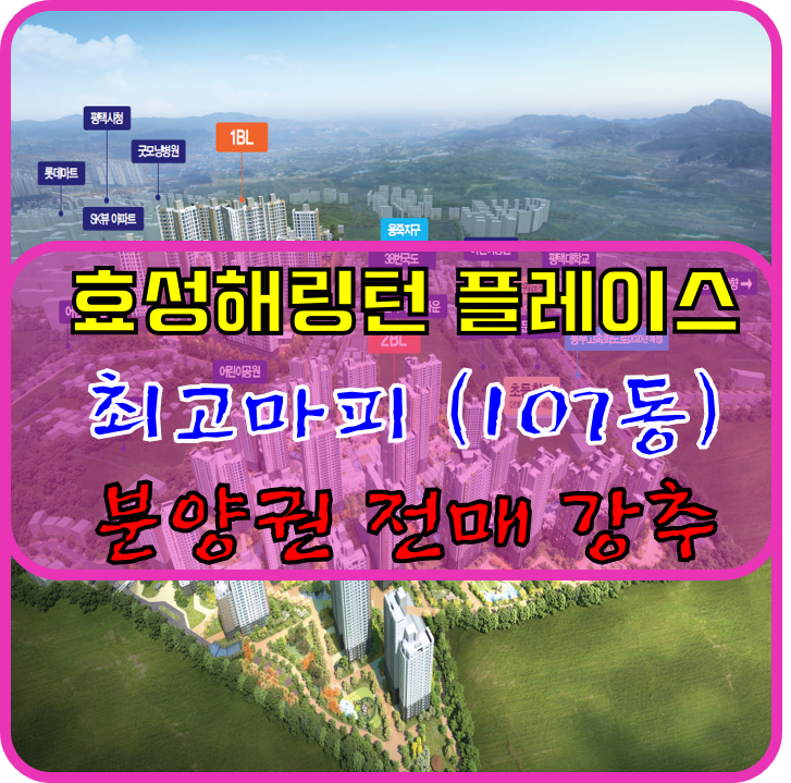  평택 소사동 효성해링턴 플레이스분양권 전매 추천(107동/34평형)