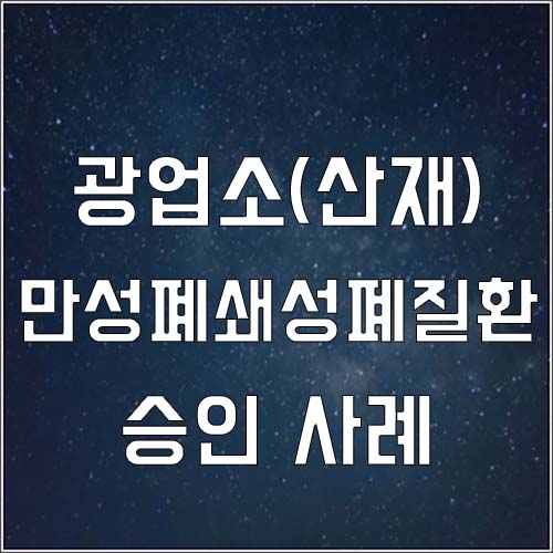  광업소 근로자 만성폐쇄성폐질환 장해11급 승인 사례(산재 장해등급 처리)