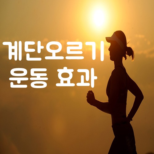  계단오르기 , 꾸준함이 중요!!