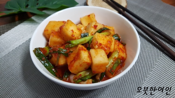  깍두기 담그는법 무 3개 맛있게 양념