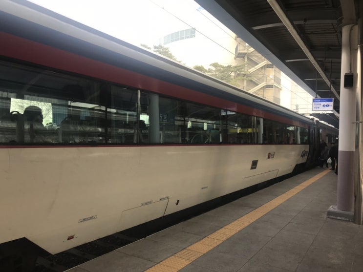  당일치기 대구 여행 첫번째 이야기 - KTX, 중앙로, 국대 닭곱새