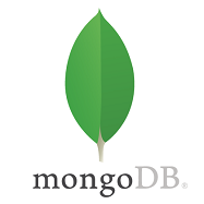  몽고DB(MongoDB) & 오라클 & 아마존 데이터베이스 (비관계형 / 비정형 / RDB / RDBMS / SQL / NoSQL / MySQL / PostgreSQL)