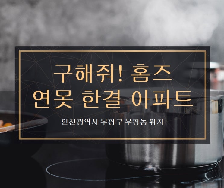  부평연못아파트 부개역 구해줘홈즈 출현