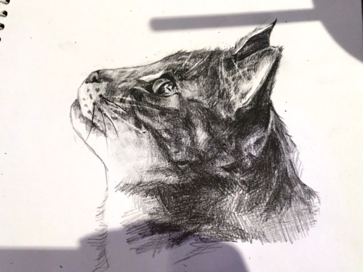  서울 취미미술 그림 동호회 드로잉 소모임 아트노마드 강남역 카페 모임 정모 후기 (펜드로잉 수채화 스케치 디지털 드로잉 기초 연습)