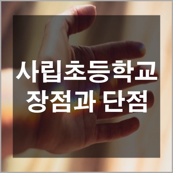  사립초등학교 장점과 단점 입학 전 알아보기