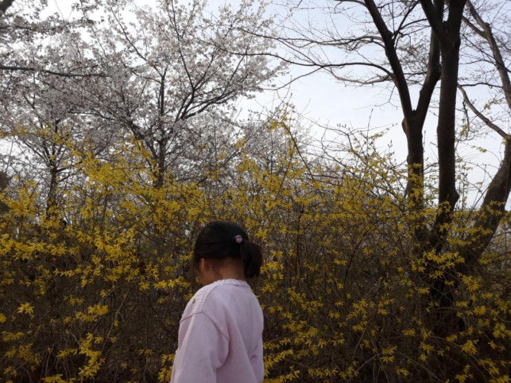  환율조작국지정이냐 화폐개혁이냐...