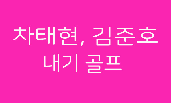  차태현 김준호 내기 골프는 도박이었나? 도박 범위는?