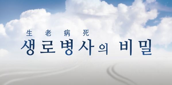  모링가효능 발표자료 check <생로병사의비밀>